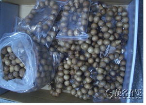 探索工藝美術(shù)品批發(fā)與零售 藝術(shù)與商業(yè)的交匯點